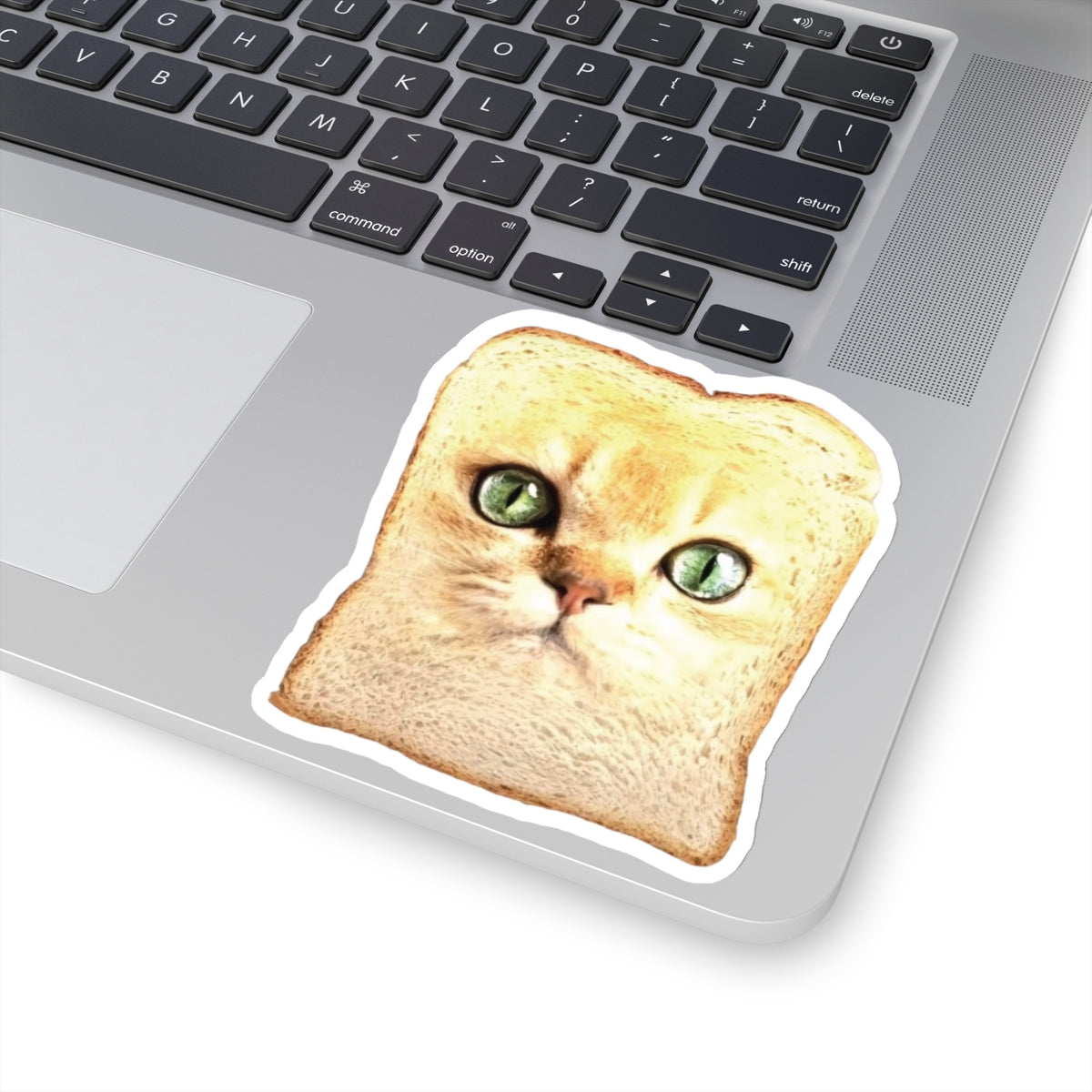 Frickin Cat Toast