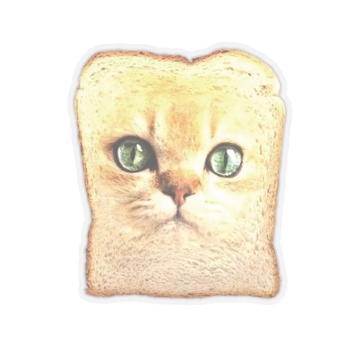 Frickin Cat Toast