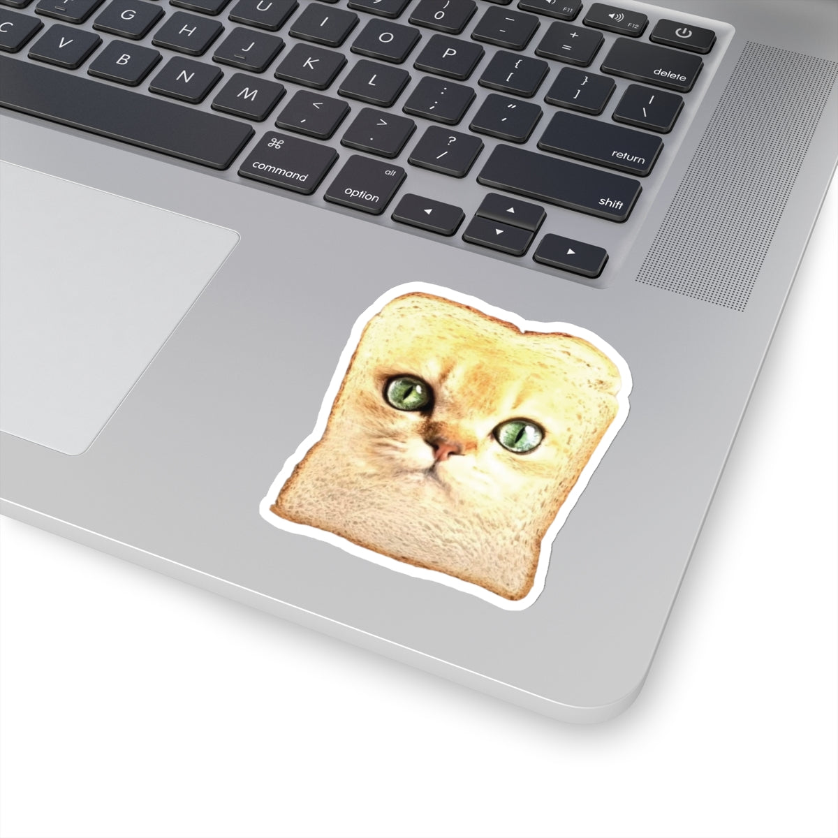 Frickin Cat Toast