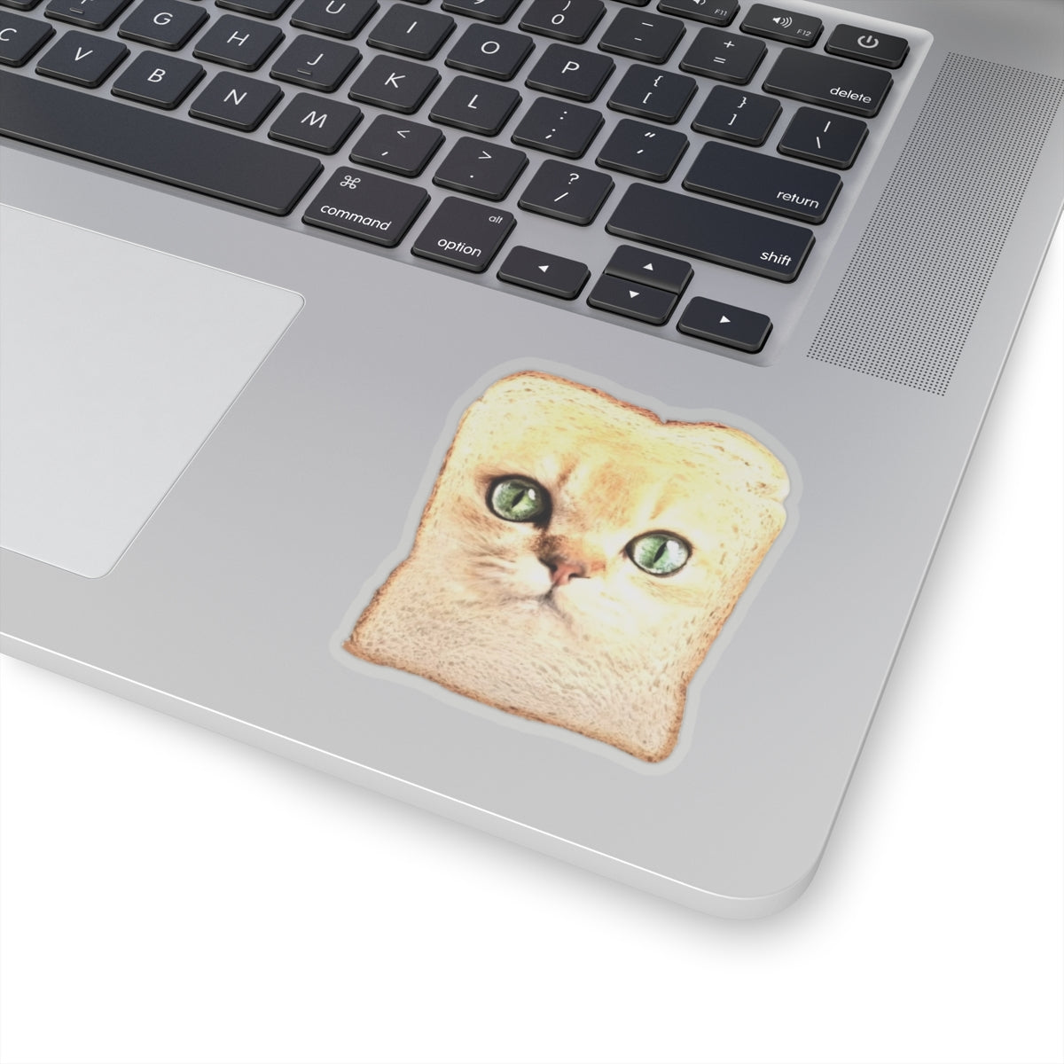 Frickin Cat Toast