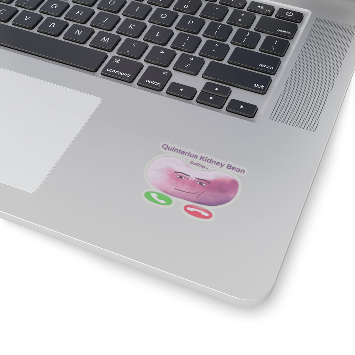 Quintarius Kidney Bean Sticker