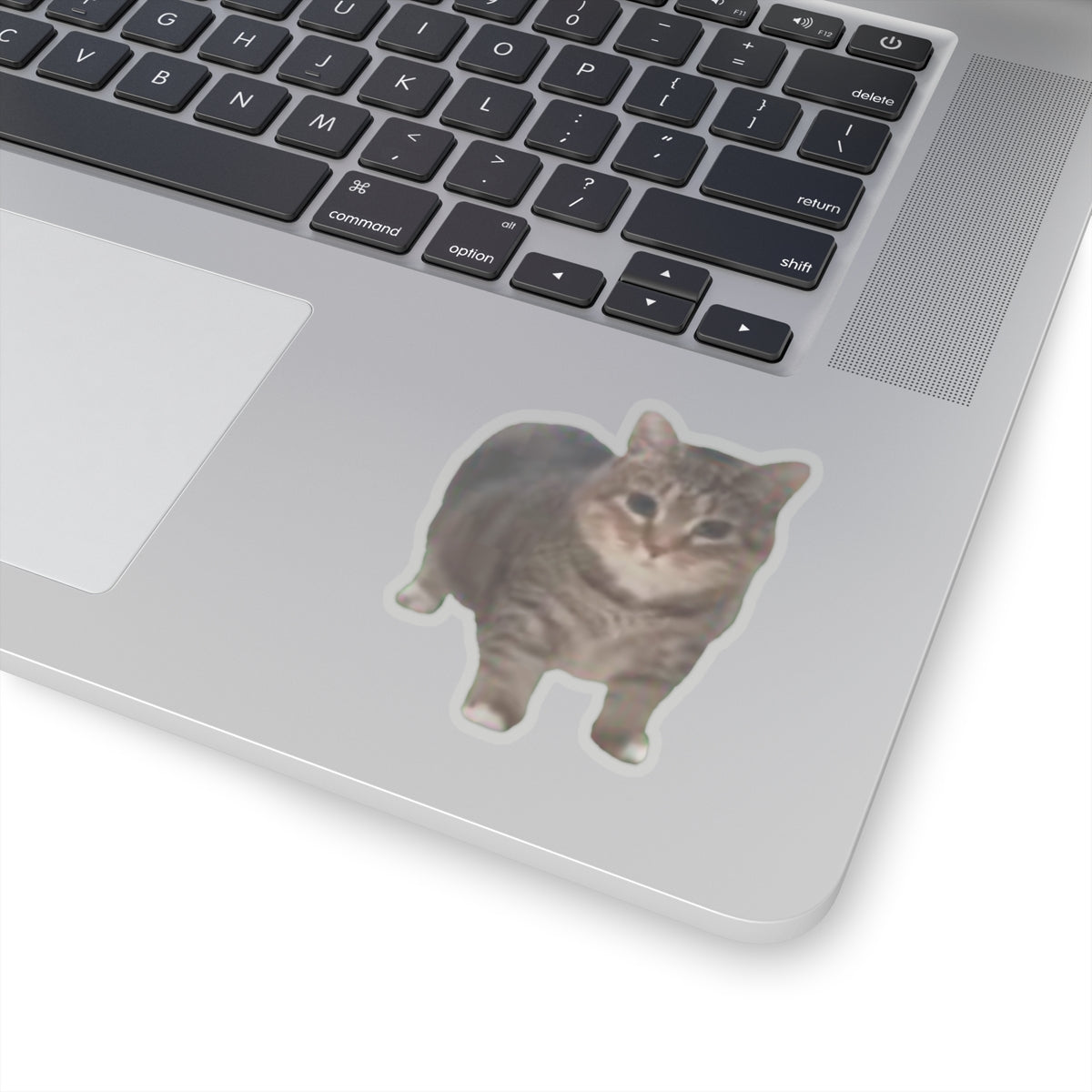 Cat Sticker