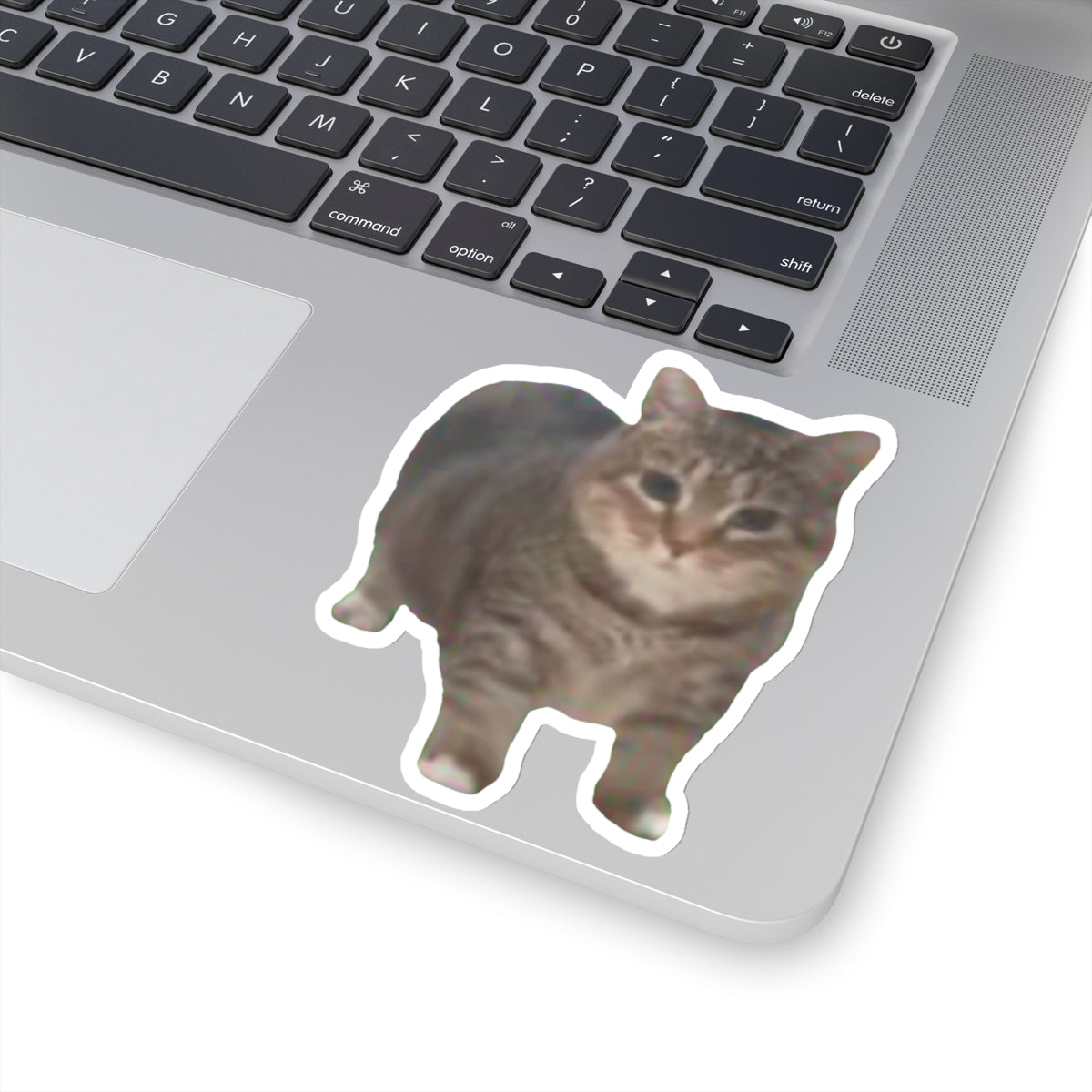 Cat Sticker