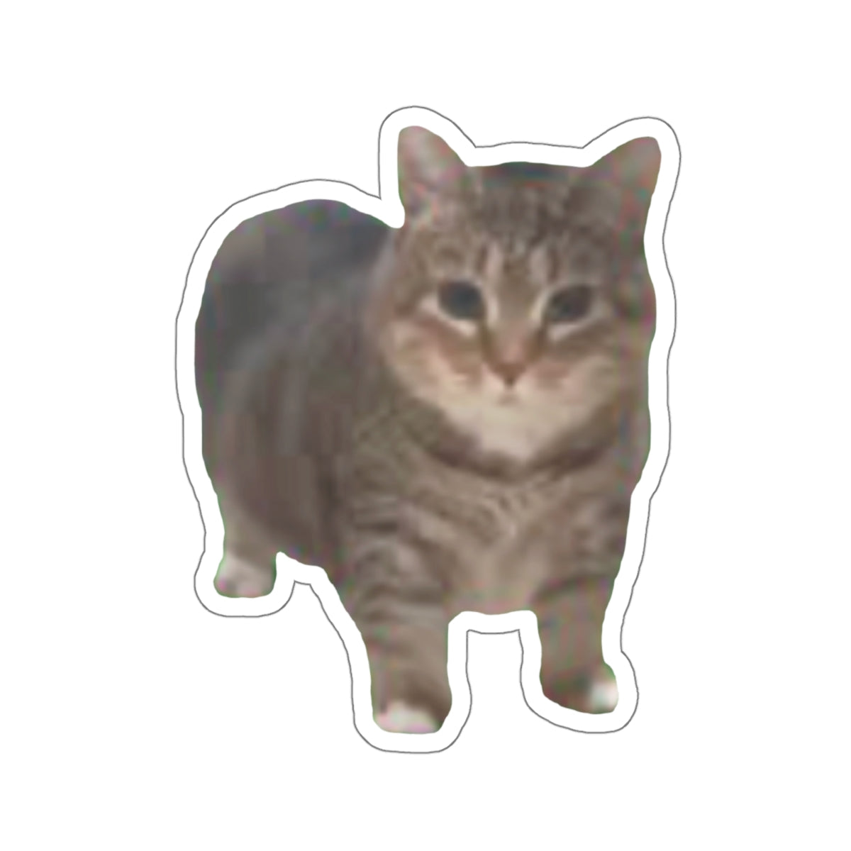 Cat Sticker