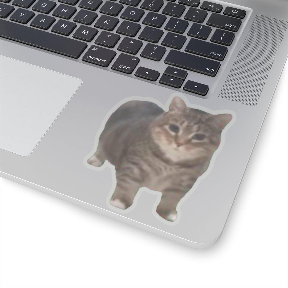 Cat Sticker