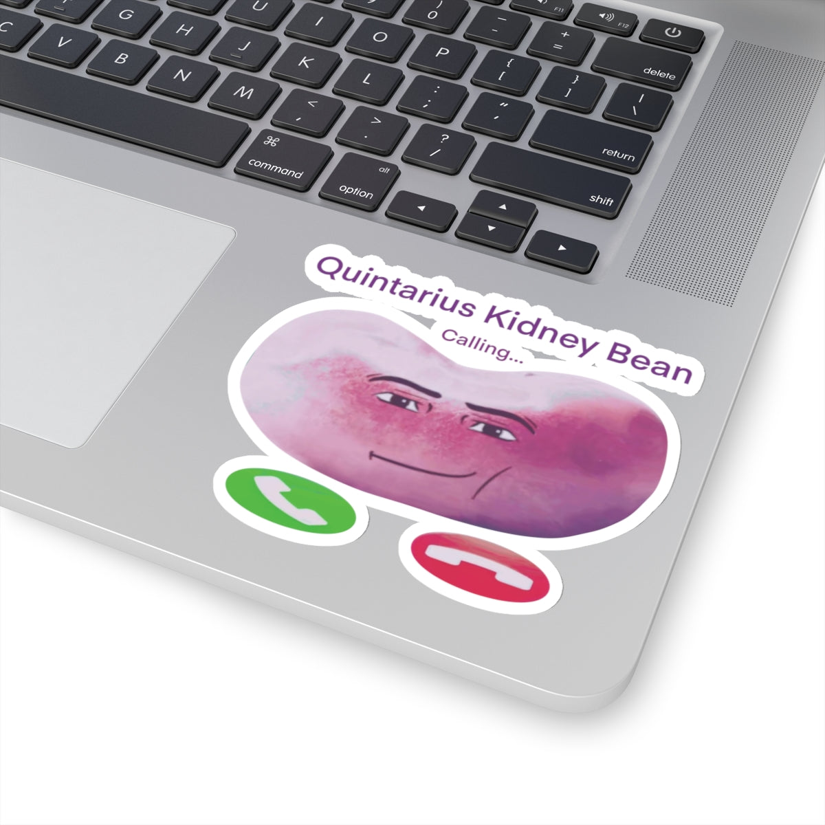 Quintarius Kidney Bean Sticker