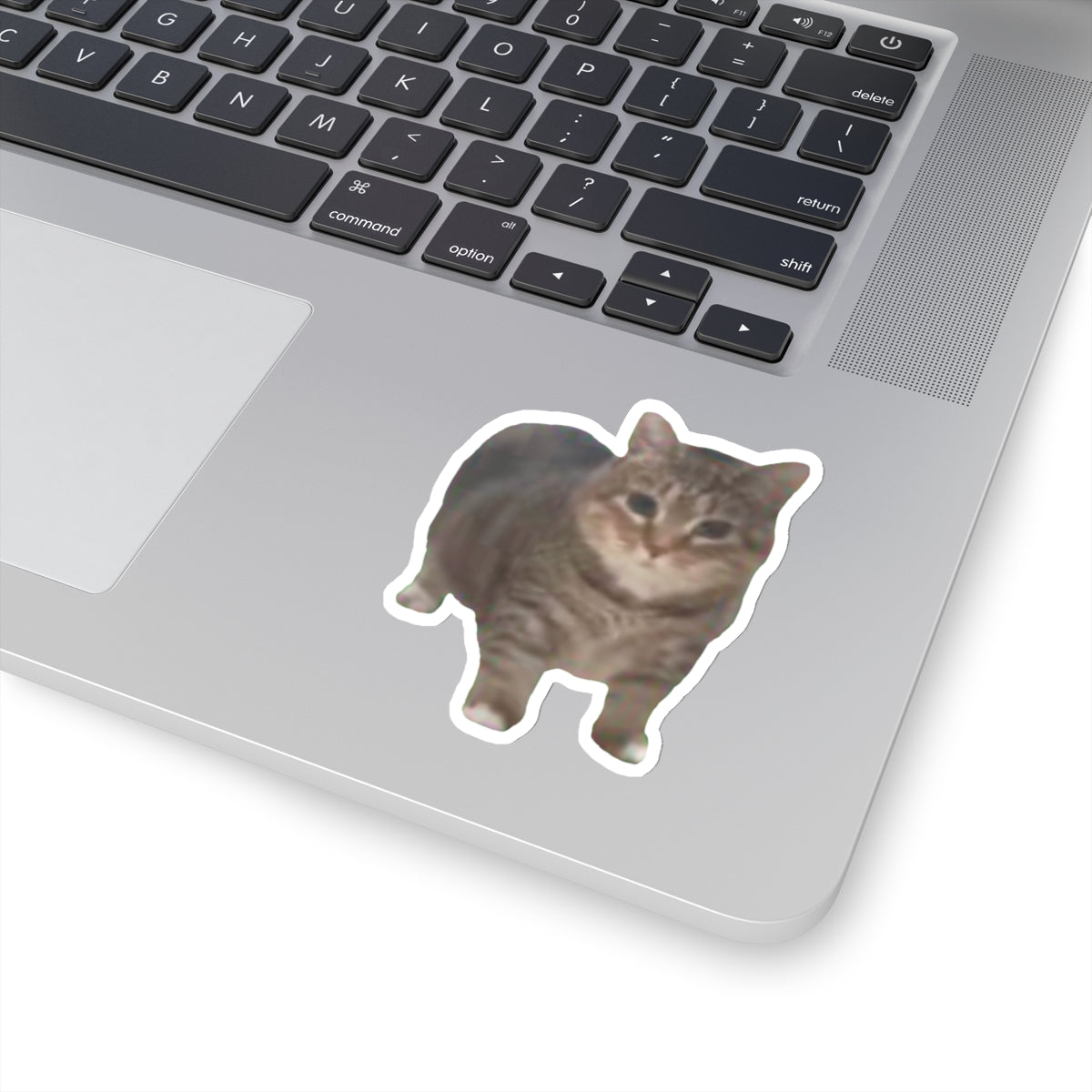 Cat Sticker