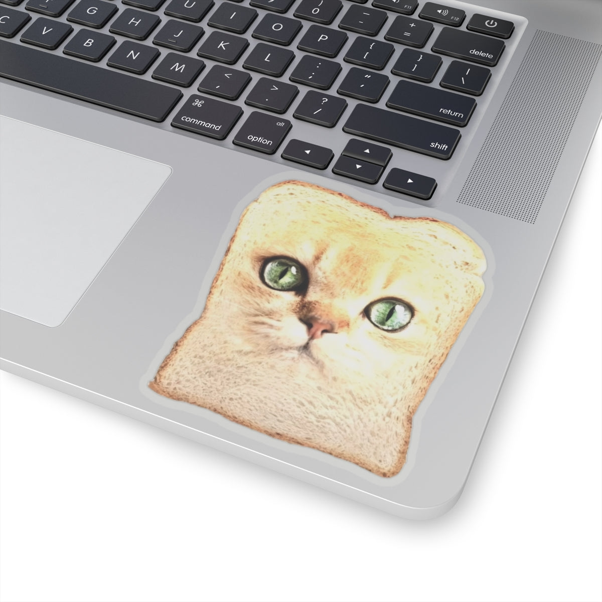 Frickin Cat Toast