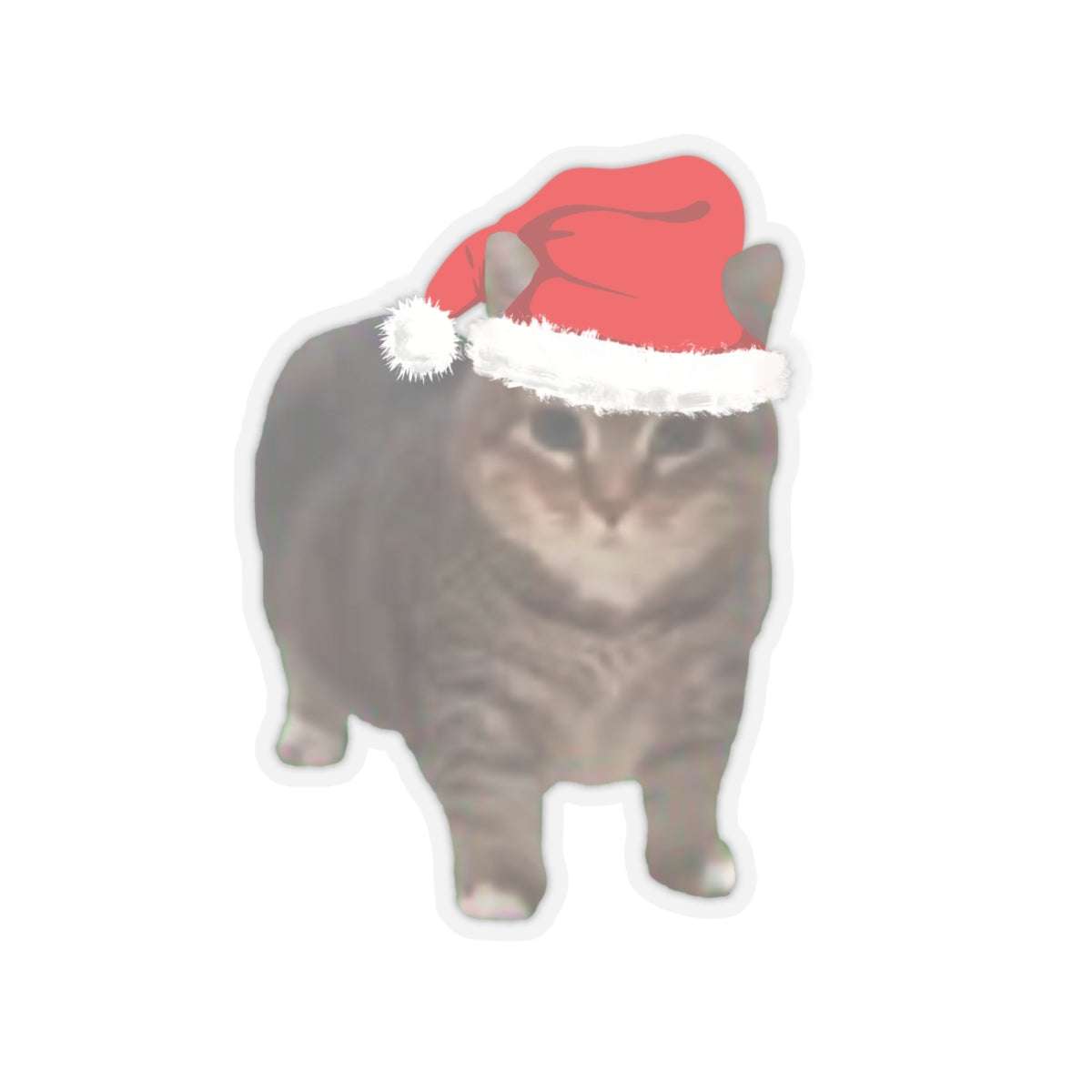 Christmas Cat