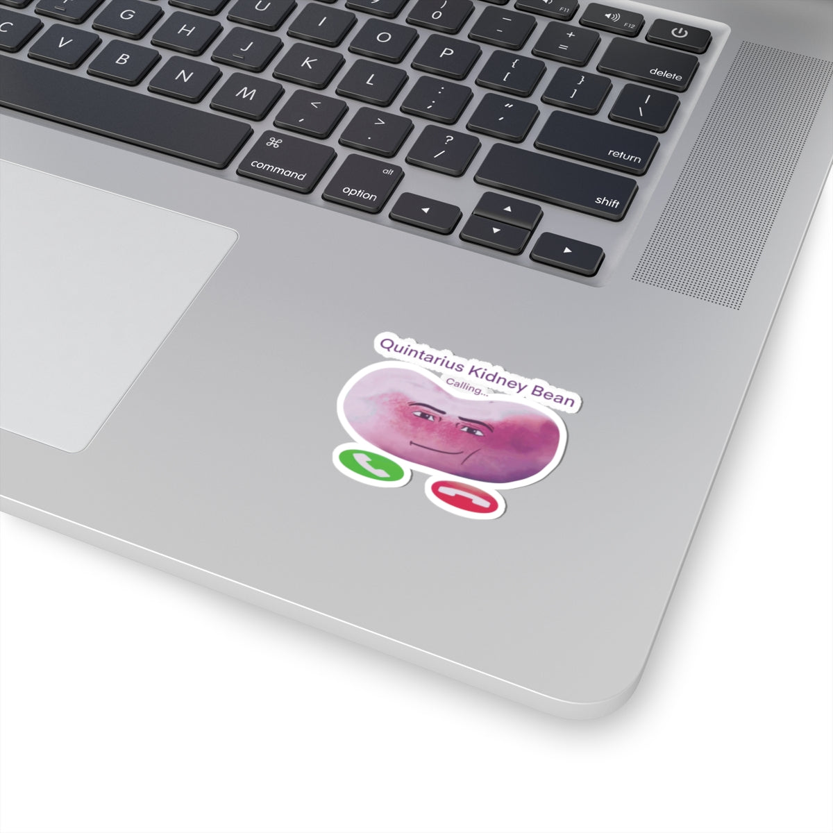 Quintarius Kidney Bean Sticker