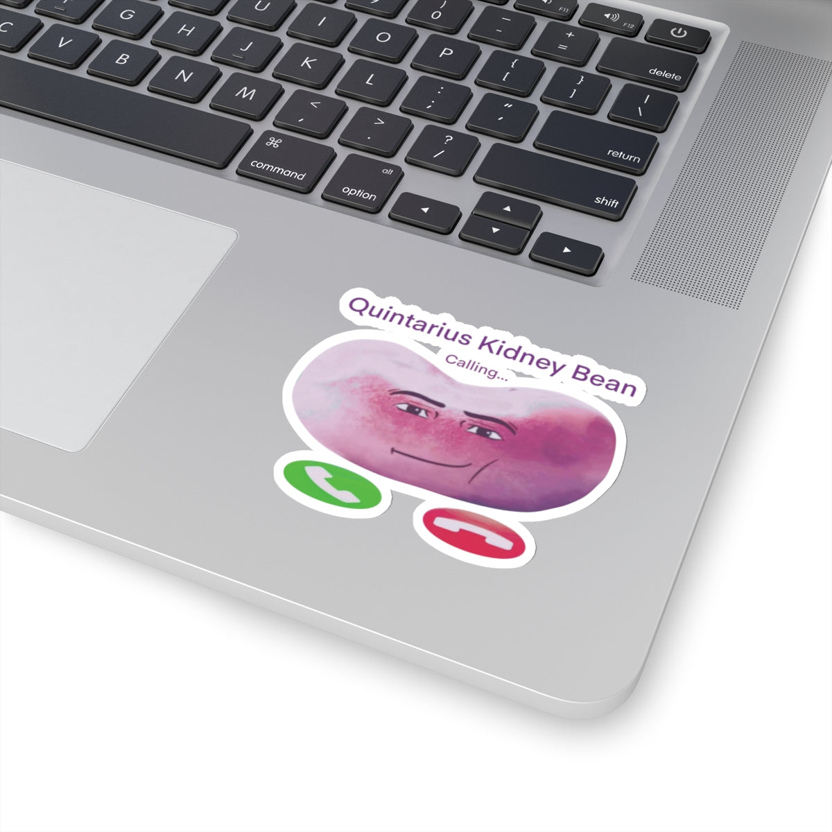 Quintarius Kidney Bean Sticker