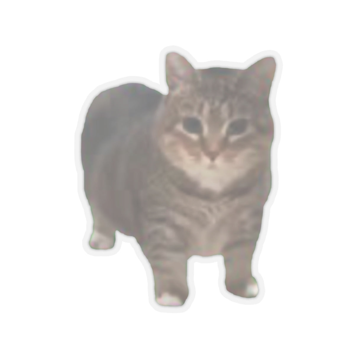 Cat Sticker