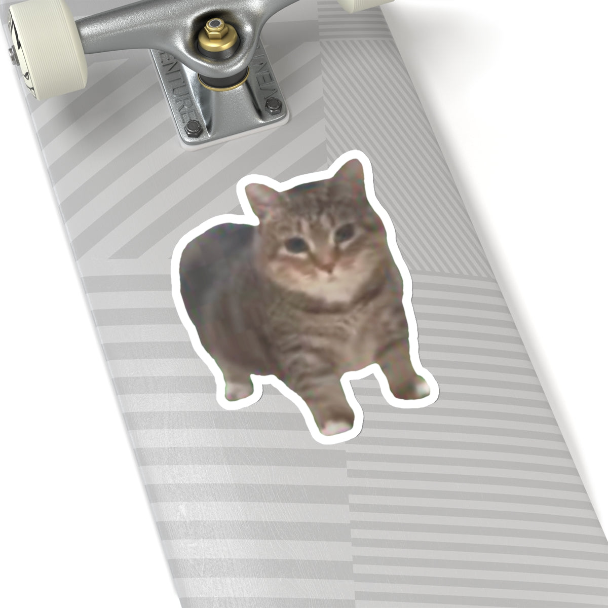 Cat Sticker