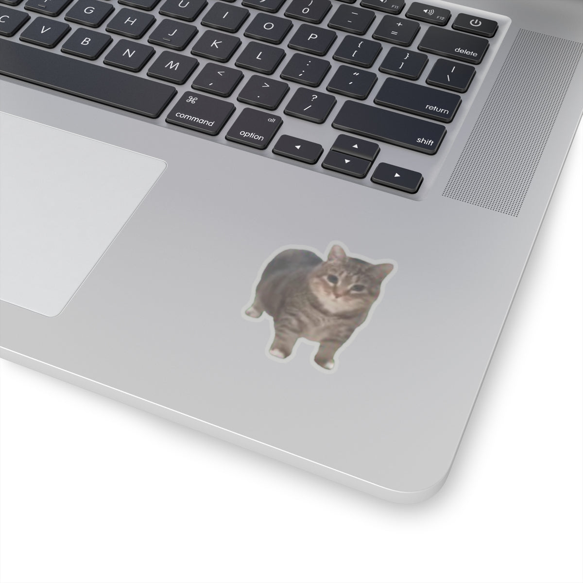 Cat Sticker